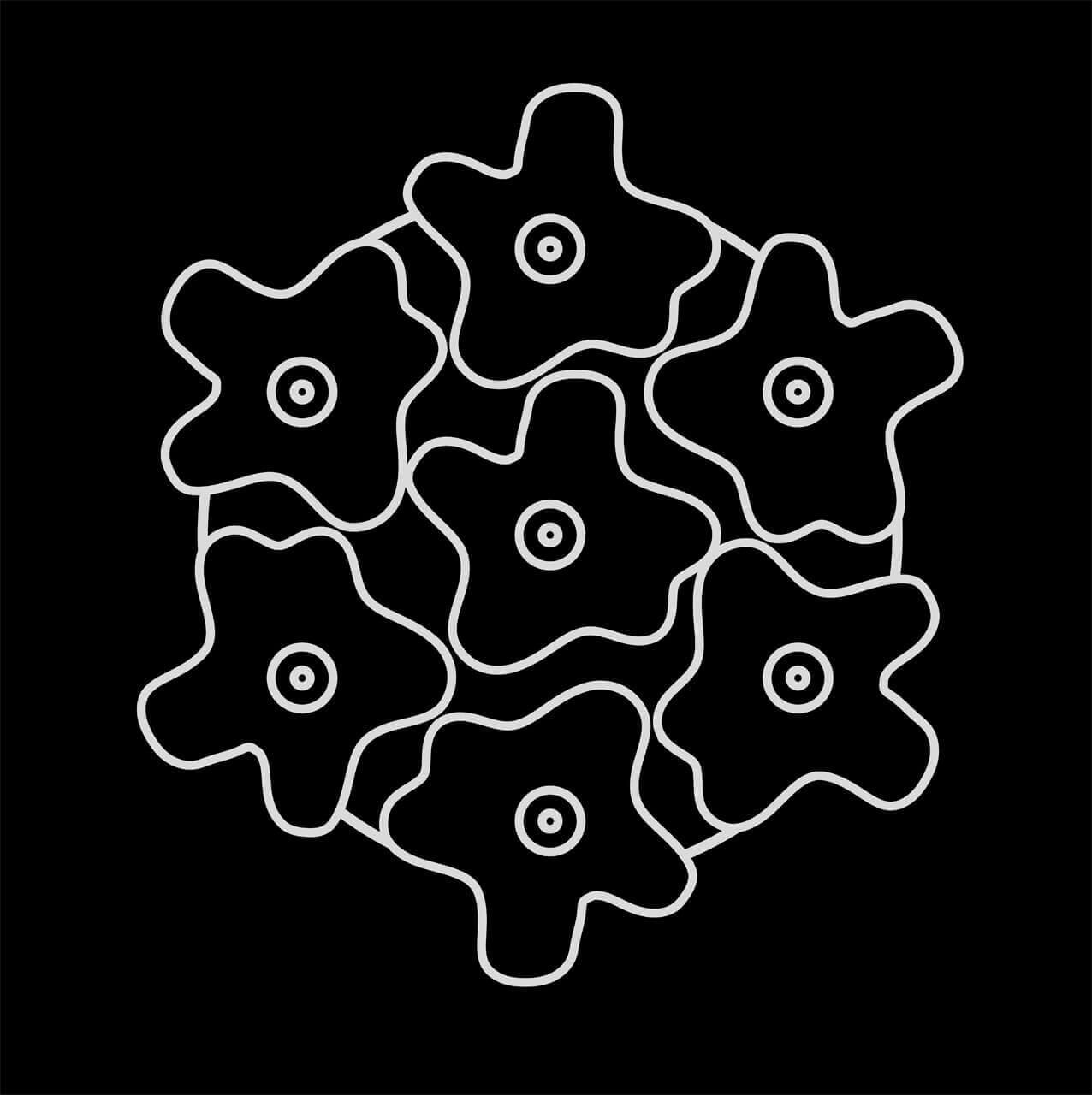 Потолочная люстра Lightstar Nubi 802070 LIGHTSTAR ДИЗАЙНЕРСКИЕ, NUBI 00-3888531 Белый  - Вид №3