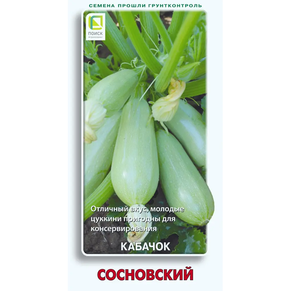 Семена кабачка Сосновский для открытого грунта 89401113 ПОИСК STLM-1575829