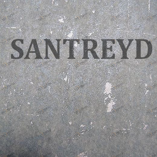 227306 Обои Rasch Tintura