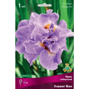 Ирис сибирский «Хэвинг Фан» 82530214 STLM-2046420
