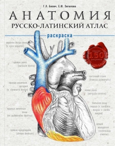 529017 Анатомия: русско-латинский атлас-раскраска Габриэль Лазаревич Билич Медицинский атлас