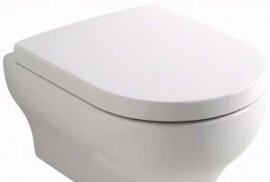 C6cl01 / c4cn01 Крышка сиденье для унитаза Olympia Ceramica