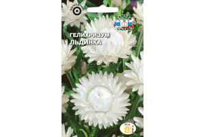 18407695 Семена Гелихризум Льдинка 00000014689 СеДек