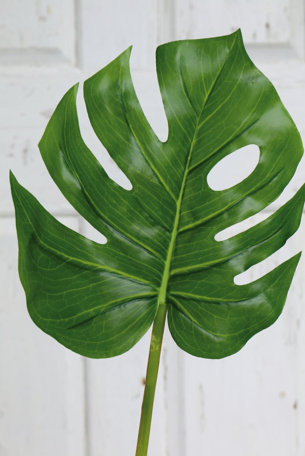 5886 883 a3 Пластиковый лист монстера, 78 см (лист 24 см), зеленый H-andreas  - Вид №4