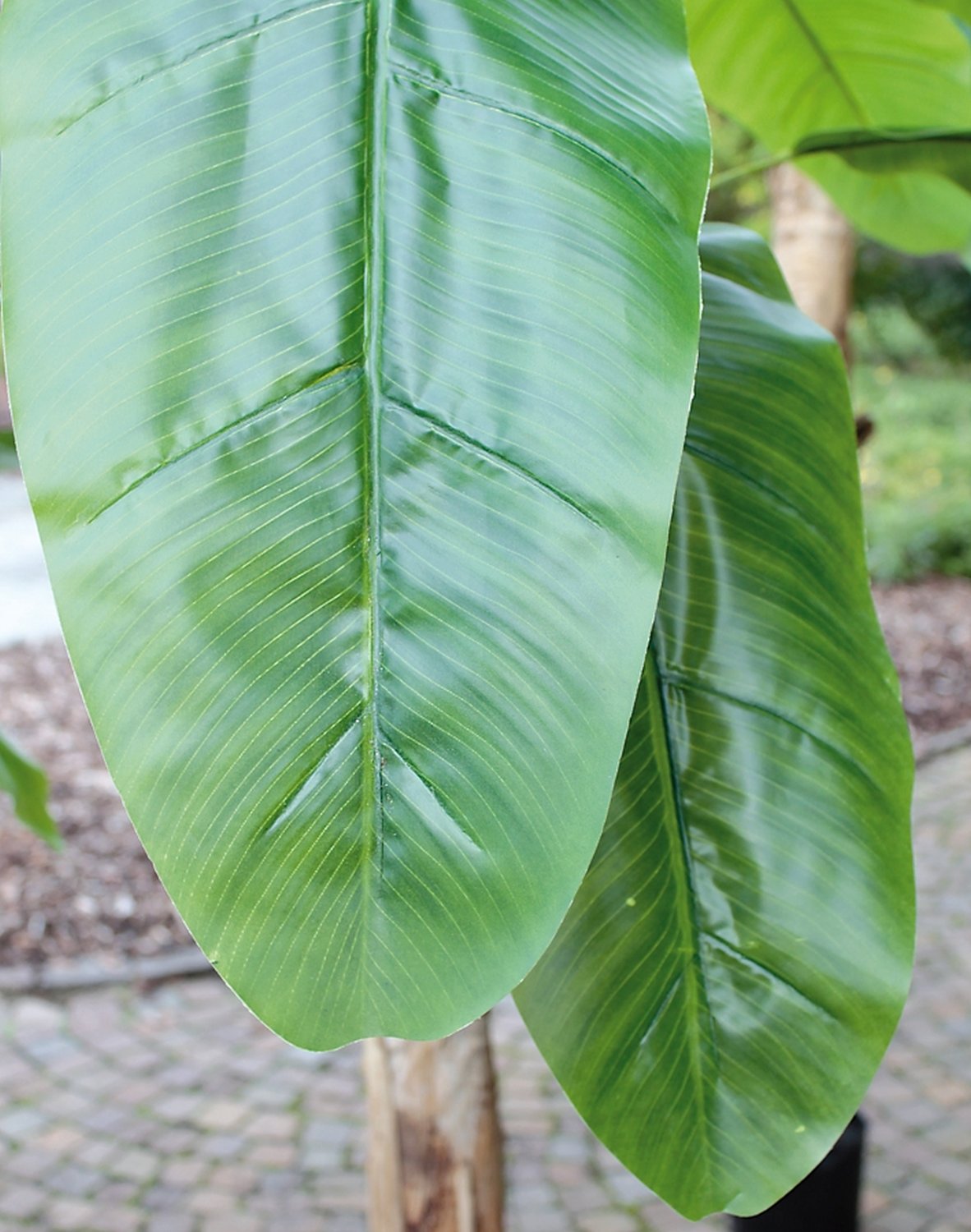 5783 883 a3 Банановое дерево, шелк, в горшке, 300 см, зеленое H-andreas 