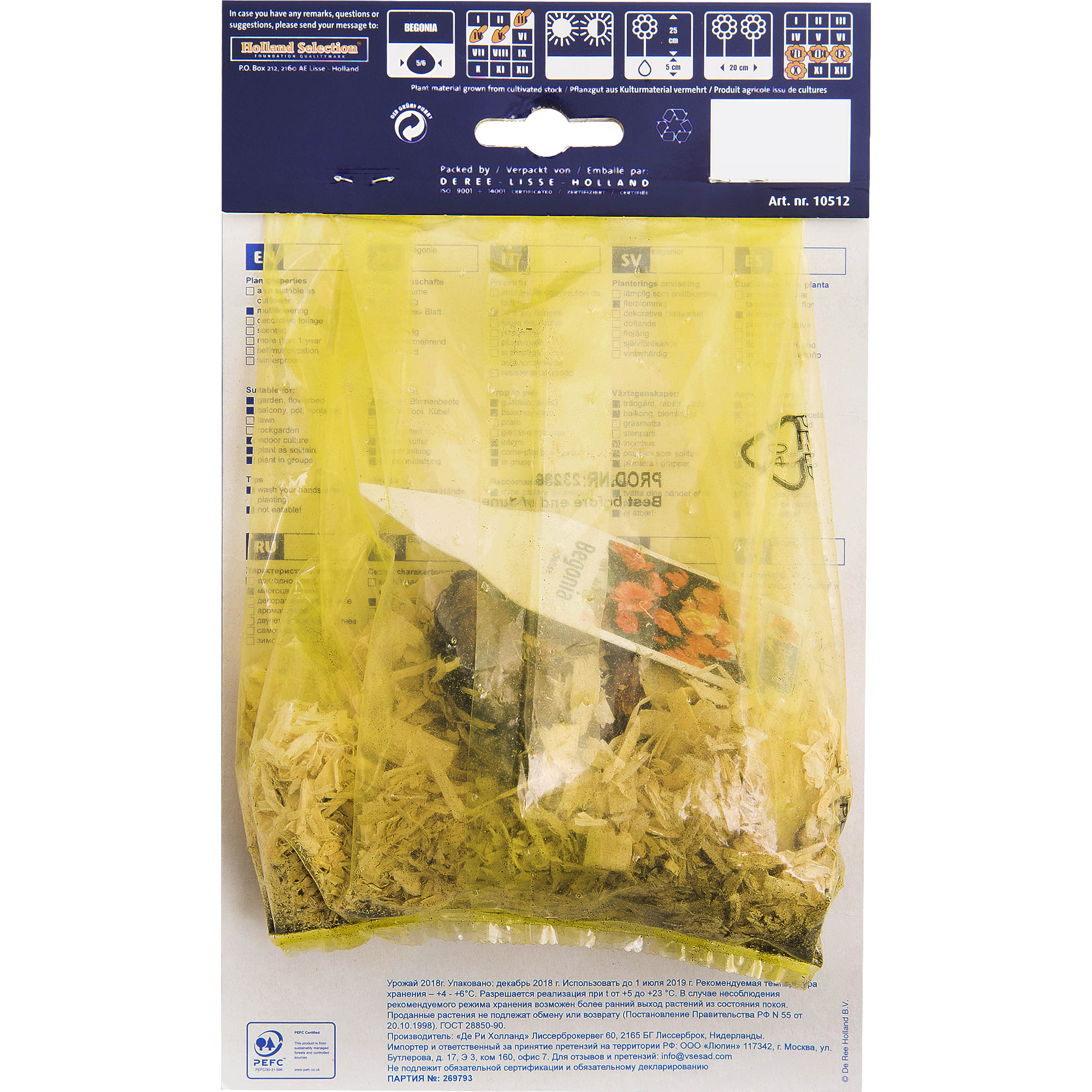 81945827 Бегония «Одороса» Santreyd  - Вид №1