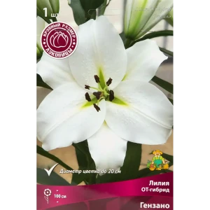 Лилия ОТ-гибрид Гензано 1 шт. 83588550 STLM-2031409