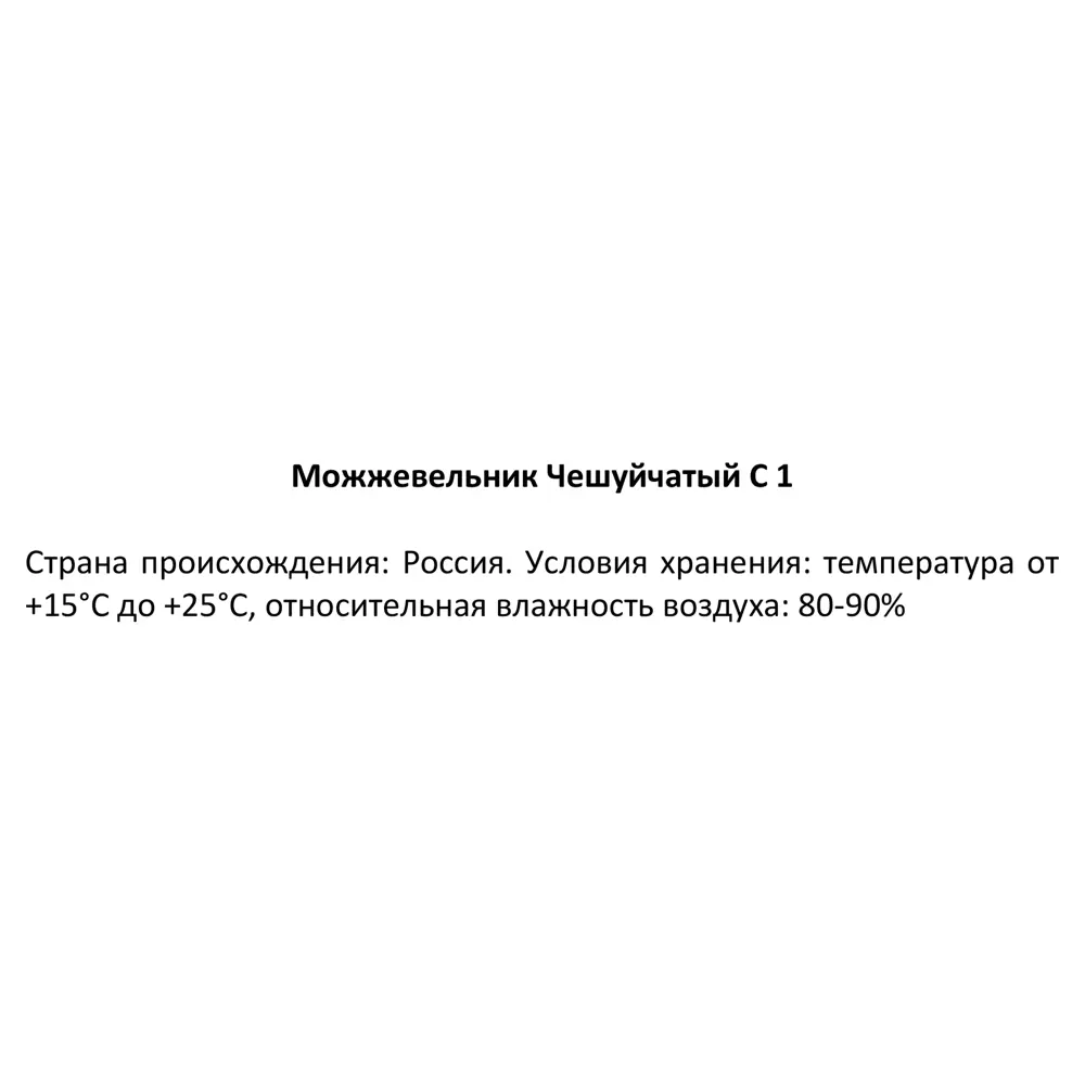 Можжевельник чешуйчатый ø13 h40 см 84429178 STLM-2115378 Santreyd  - Вид №2