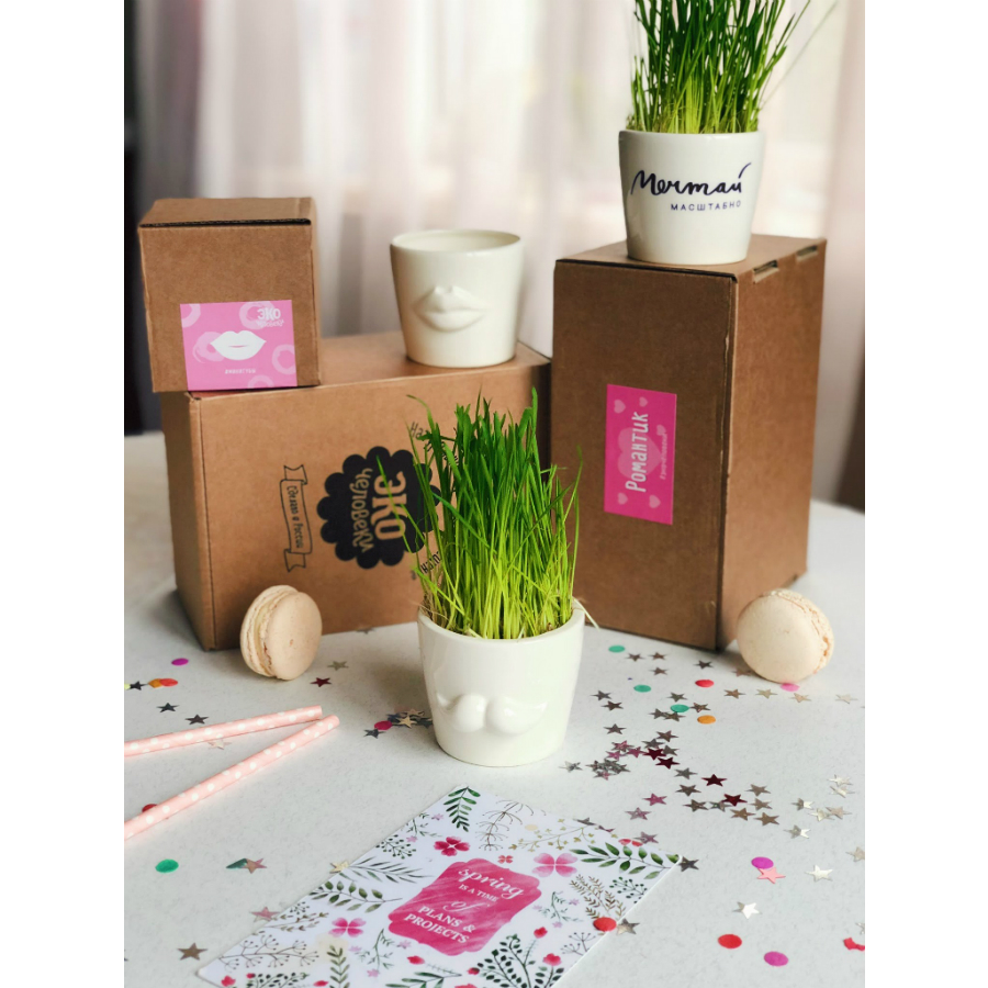 Набор для выращивания Eco мини-кашпо «Губы» ЭКОЧЕЛОВЕКИ MIN101 - Вид №7