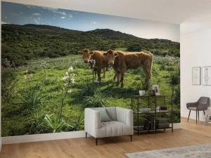 Komar Флизелиновые обои с пейзажами Wanderlust Shx9-051