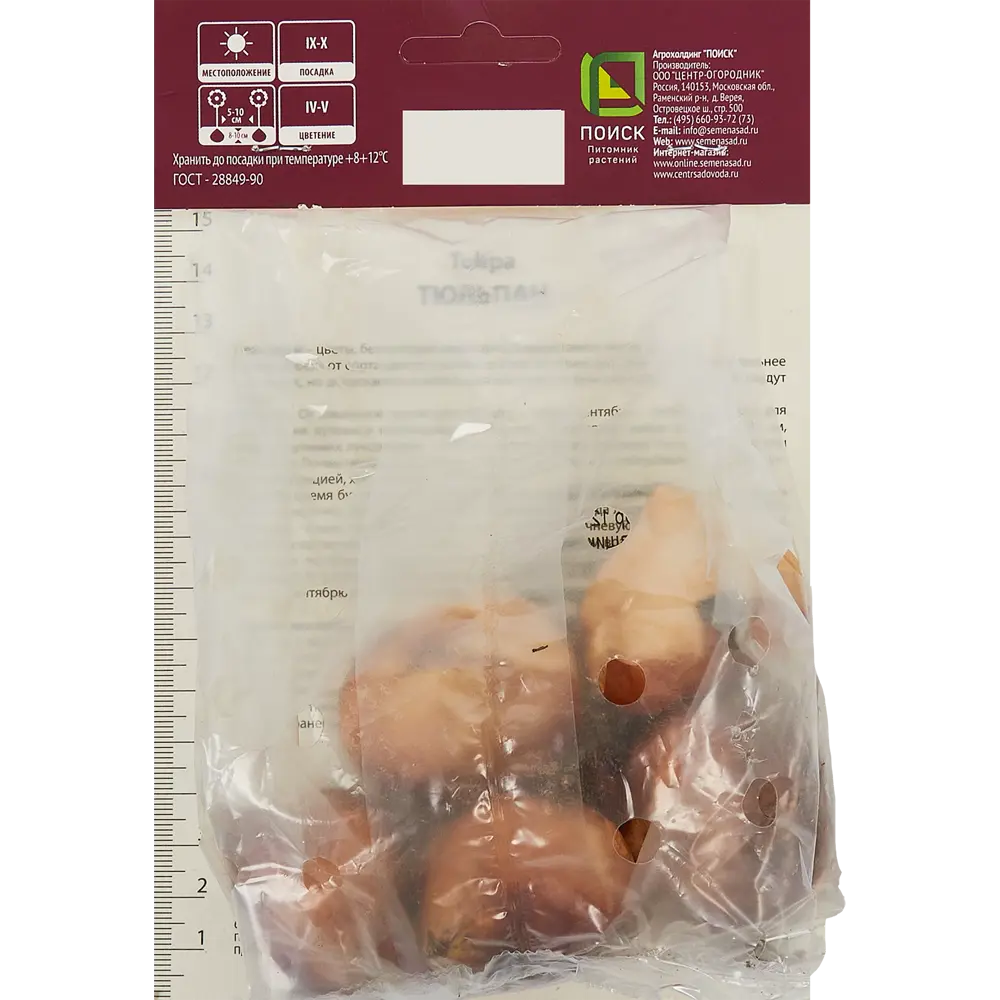 Тюльпан Дарвинов гибрид Леди ван эйк луковица 12/14, 5 шт. 88294791 STLM-2097680 Santreyd  - Вид №1