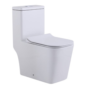 Унитазы-компакт SL-5024 SANTILINE