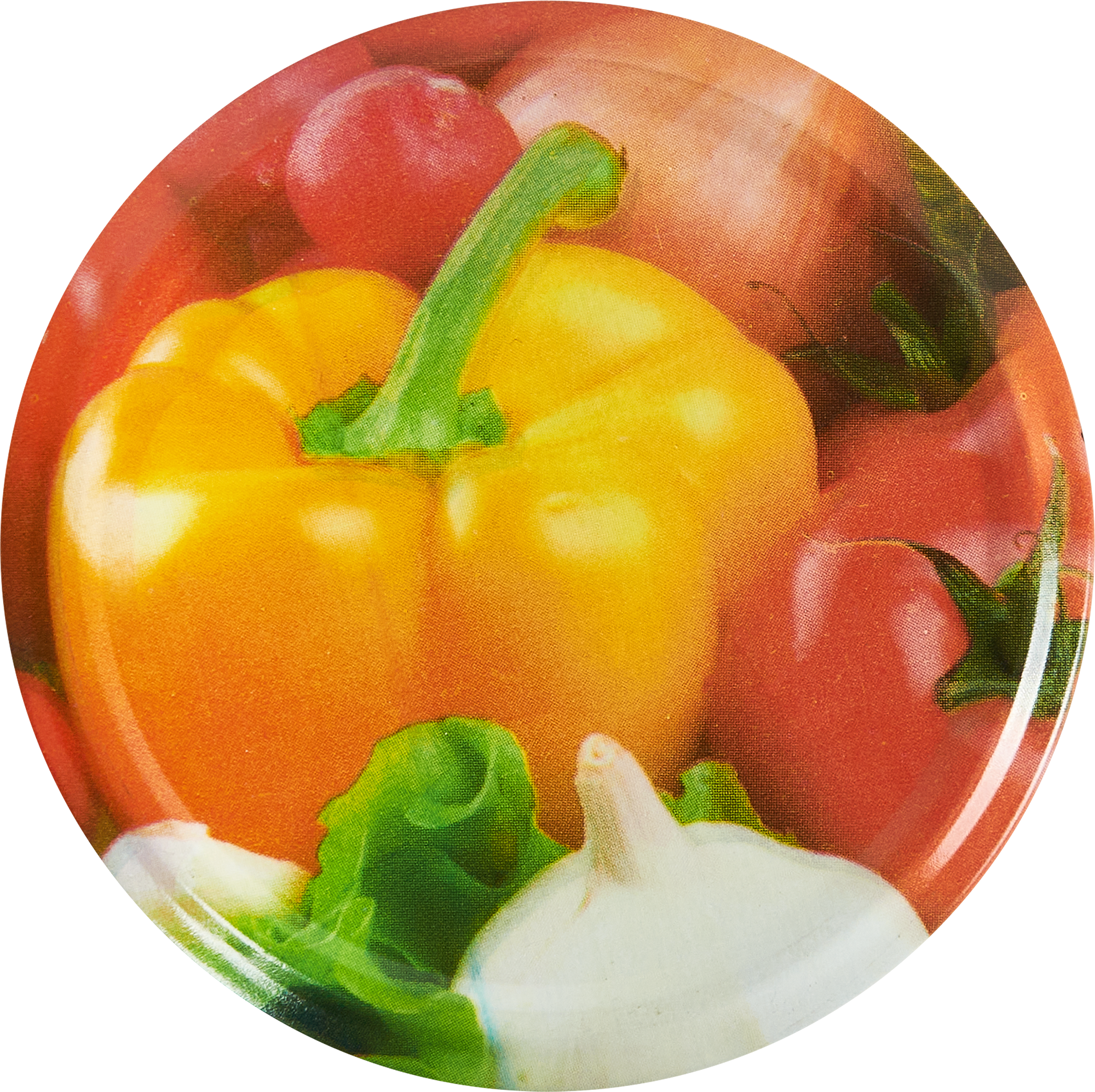 85240240 Крышка ТО 100 фотопечать 1шт STLM-0060354 Santreyd 