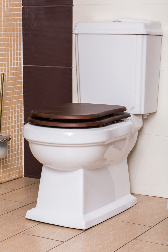 Унитаз-компакт CEZARES Laredo Компакт унитаз с бачком Белый Cezares LAREDO Китай - Вид №1