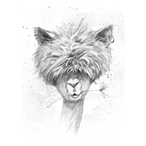 Постер Все сбудется! 21x29.7 см