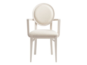 Ткань мягкий медальон стул с подлокотниками