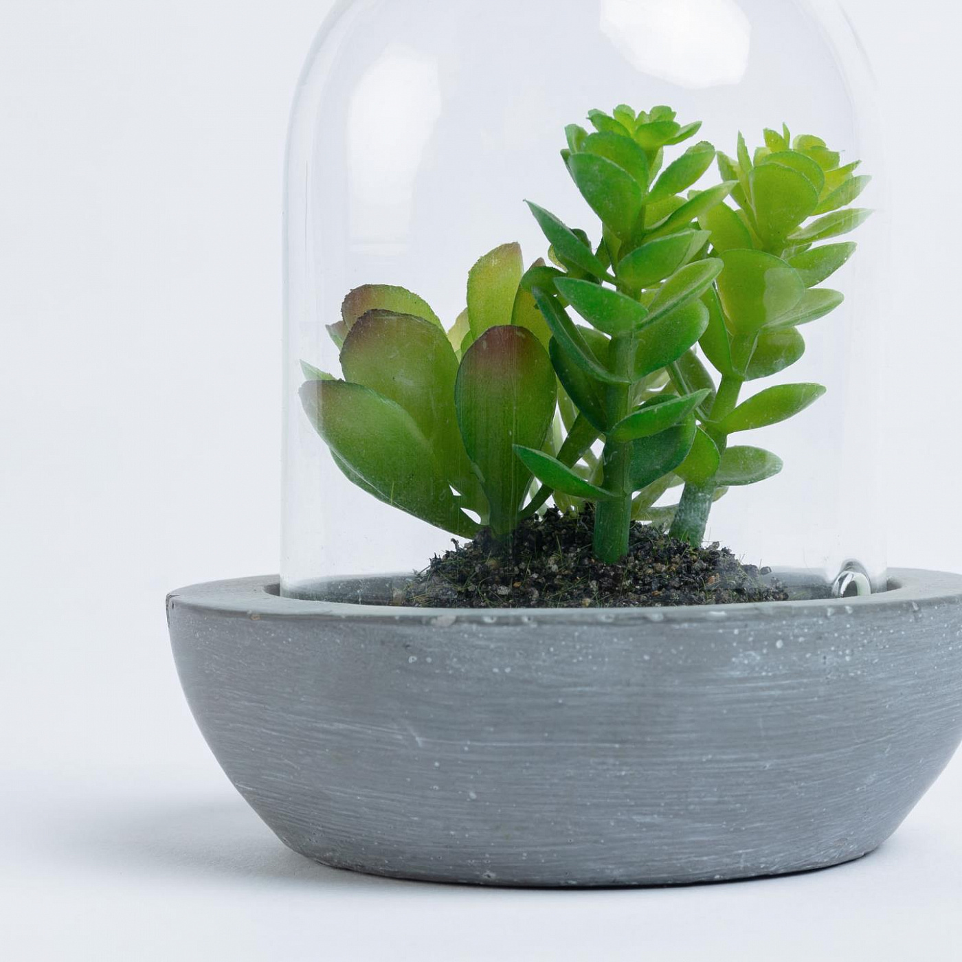 068866 Flower Искусственный суккулент в стеклянном горшке La Forma Suculenta 