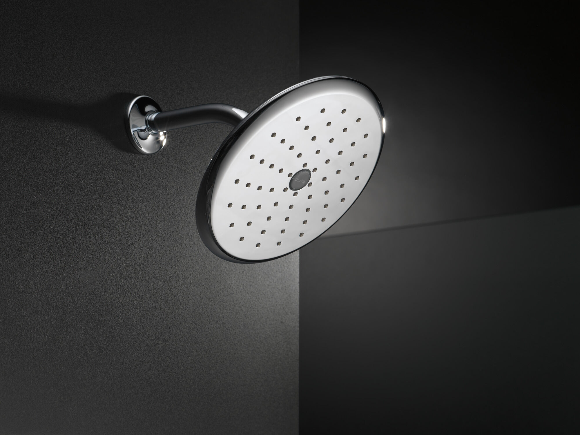 RP52382PT Душевая лейка Raincan с одинарной настройкой Delta Faucet Universal Showering Выдержанный оловянный  - Вид №3