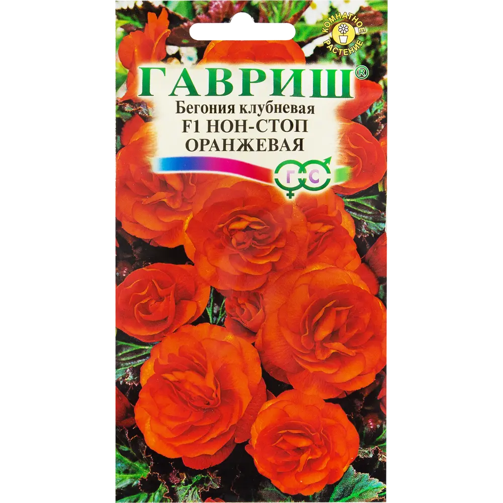 Бегония гранулированная «Нон-стоп» оранжевая, 4 шт. 82097834 STLM-2186850 ГАВРИШ 