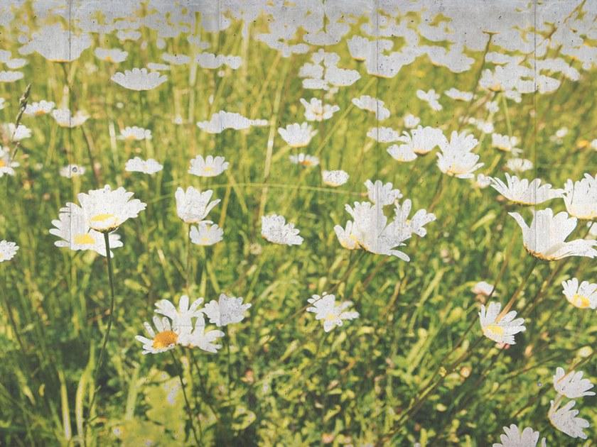 Architects Paper Обои с цифровой печатью Ap digital iv 108980 - Вид №1