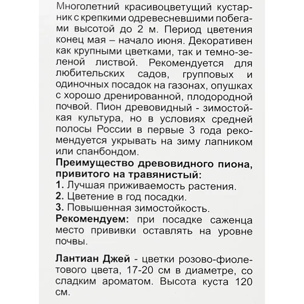 Пион Лантиан Джей ø9 h39 см 83738701 STLM-2160125 Santreyd  - Вид №3
