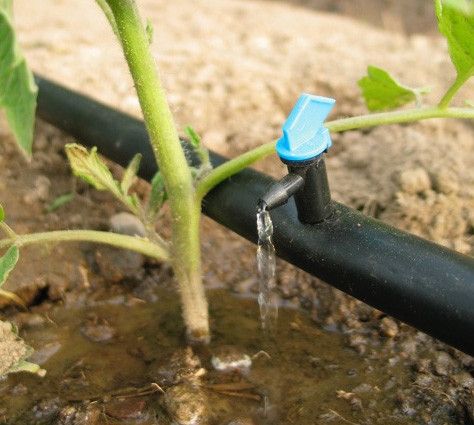 2904 Капельница флажок разборная 8 л/ч 1/4" LAB.Space  - Вид №1