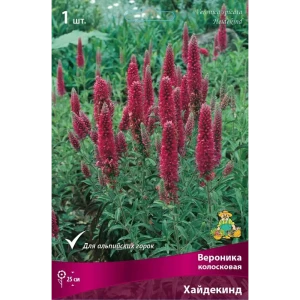 Вероника колосковая Вая Хайдекинд луковица I 83599239 STLM-2161295