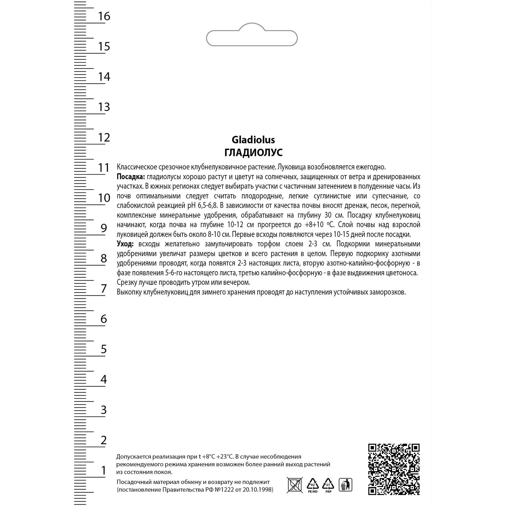 82530195 Гладиолусы крупноцветковые Браун Шугар Santreyd  - Вид №1