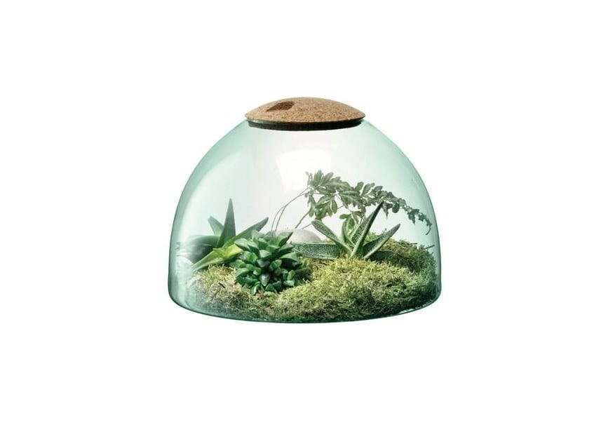 Террариум из дутого и переработанного стекла LSA Canopy ARCH-00081723 - Вид №1