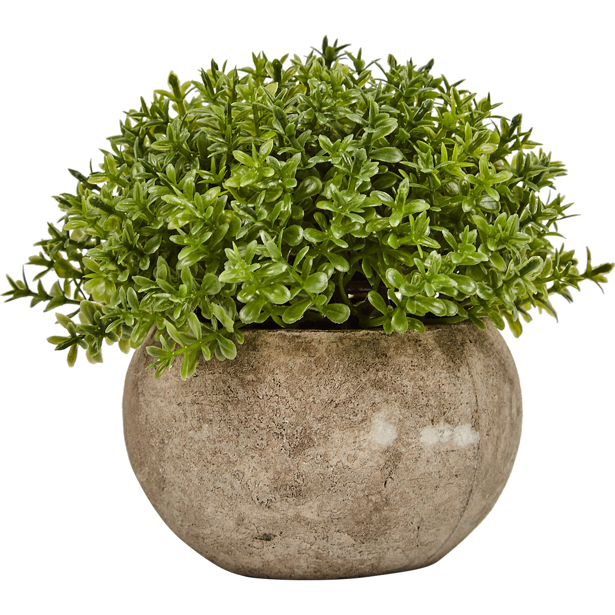 88249643 Искусственное растение в полукруглом горшке вид 2 Santreyd STLM-0077028