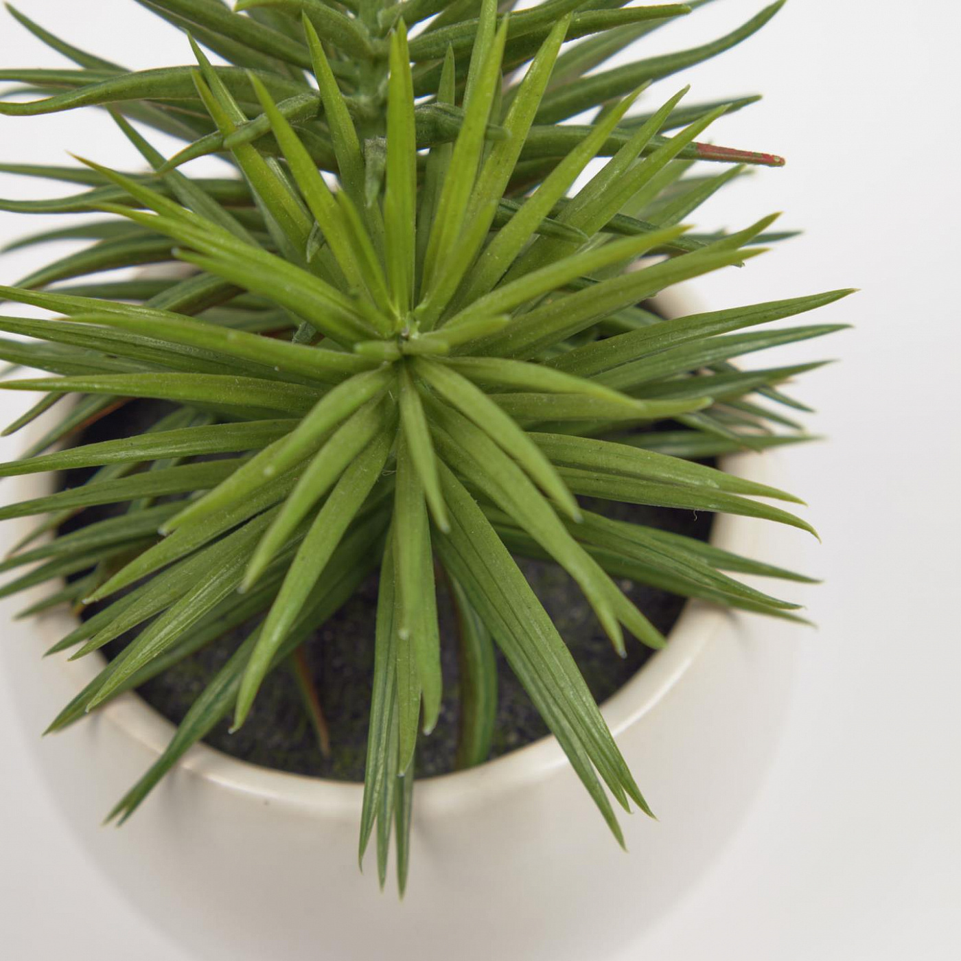 108425 Pino Искусственное растение с белым керамическим кашпо 16 см La Forma  - Вид №1