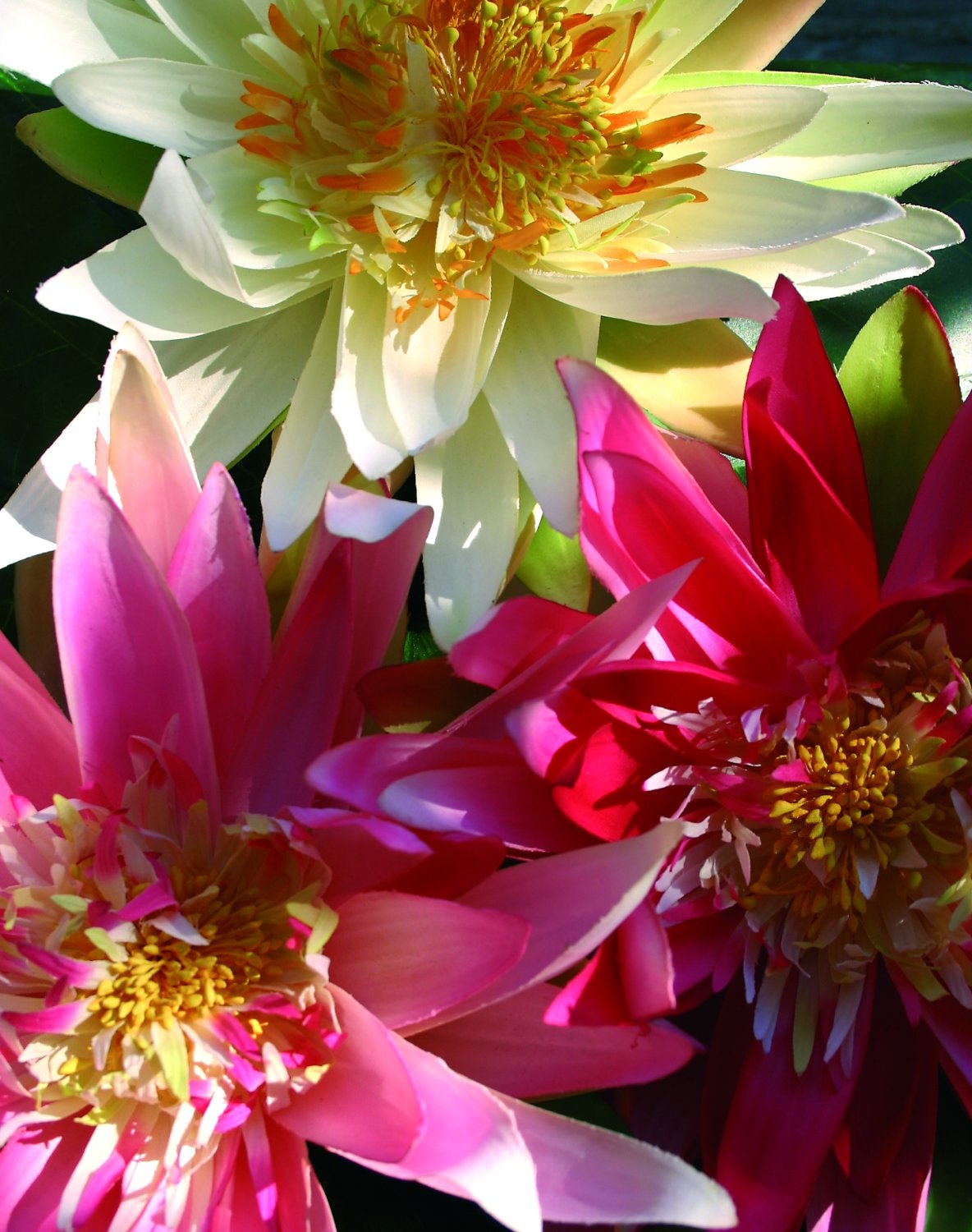 3896 515 a2 Кувшинка пластиковая, плавающая, Ø 21 см, розовая H-andreas 