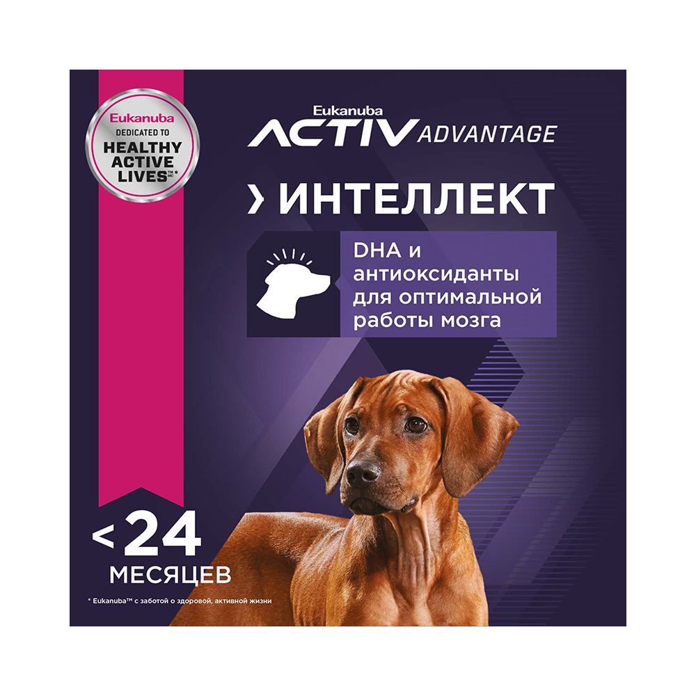 ПР0033541 Корм для щенков для крупных пород сух. 15кг Eukanuba  - Вид №3