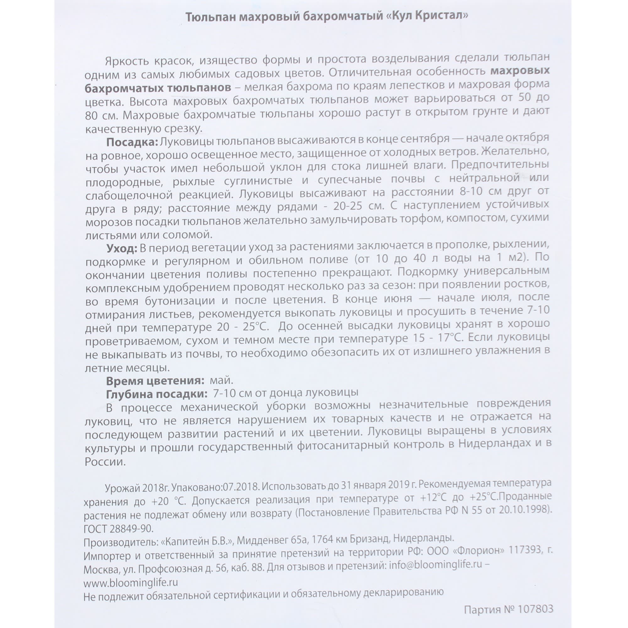 82004118 Тюльпан махровый бахромчатый «Кул Кристал» Santreyd  - Вид №2