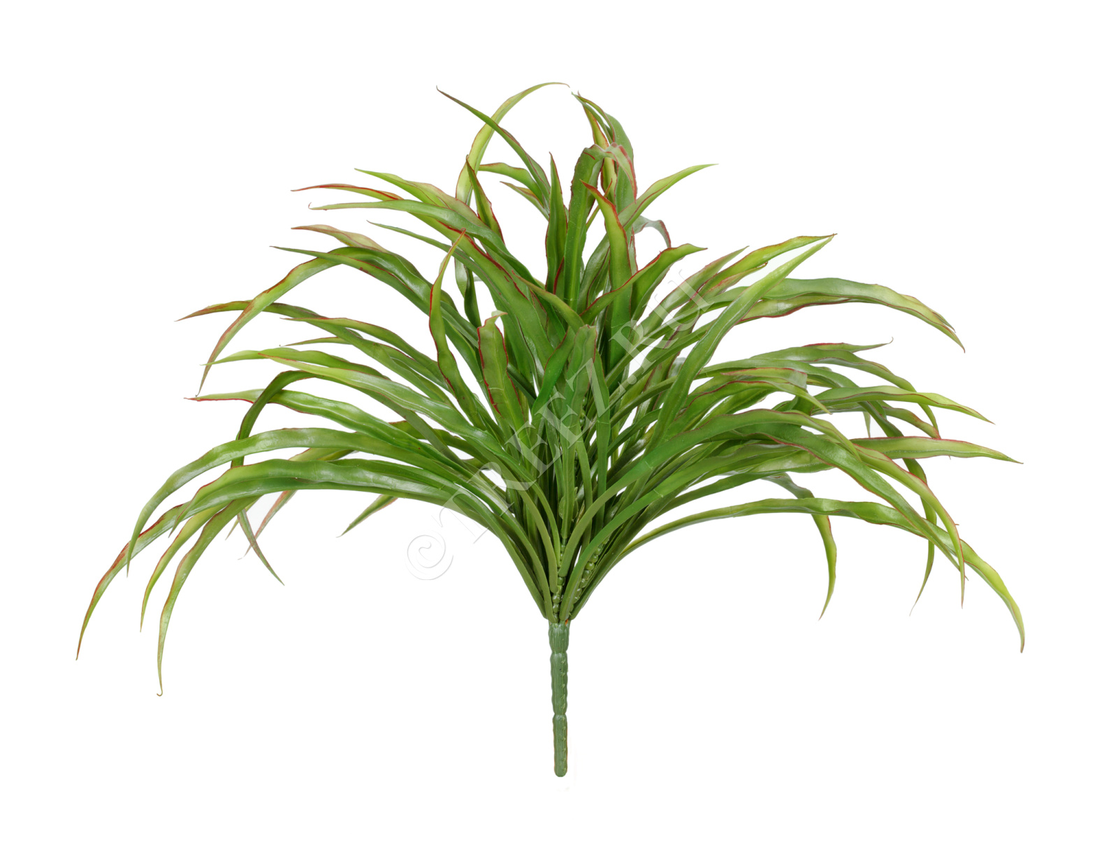 20.091401RG Трава Ванилла Грасс зеленая с бордо Цветочная коллекция 