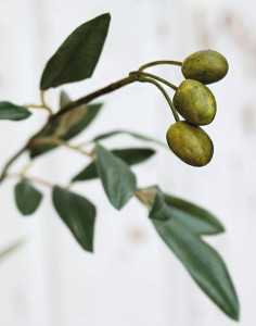 4502 883 a3 Искусственная оливковая ветвь, 140 см, зеленая H-andreas