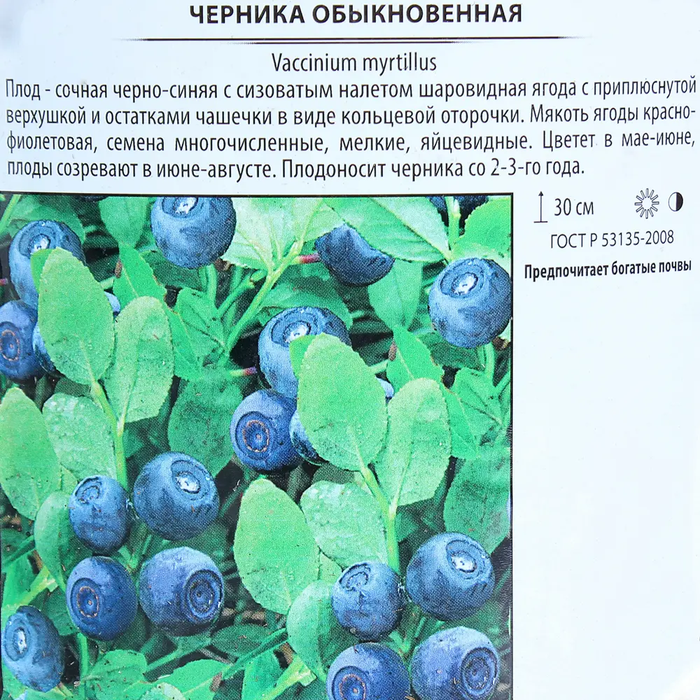 Черника обыкновенная, контейнер 2 л 81969649 STLM-2140236 Santreyd  - Вид №1