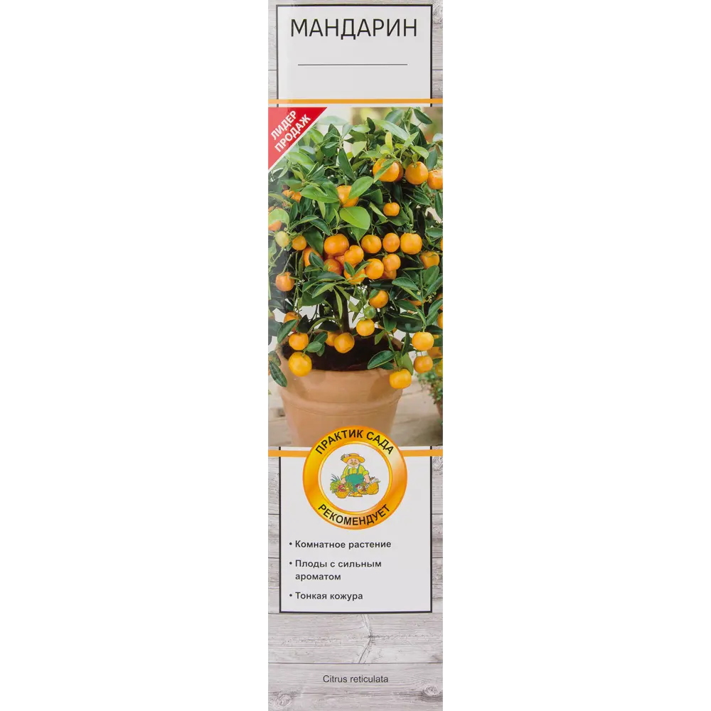Мандарин микс в тубе Поиск Инвест 82150815 STLM-2210973 Santreyd 