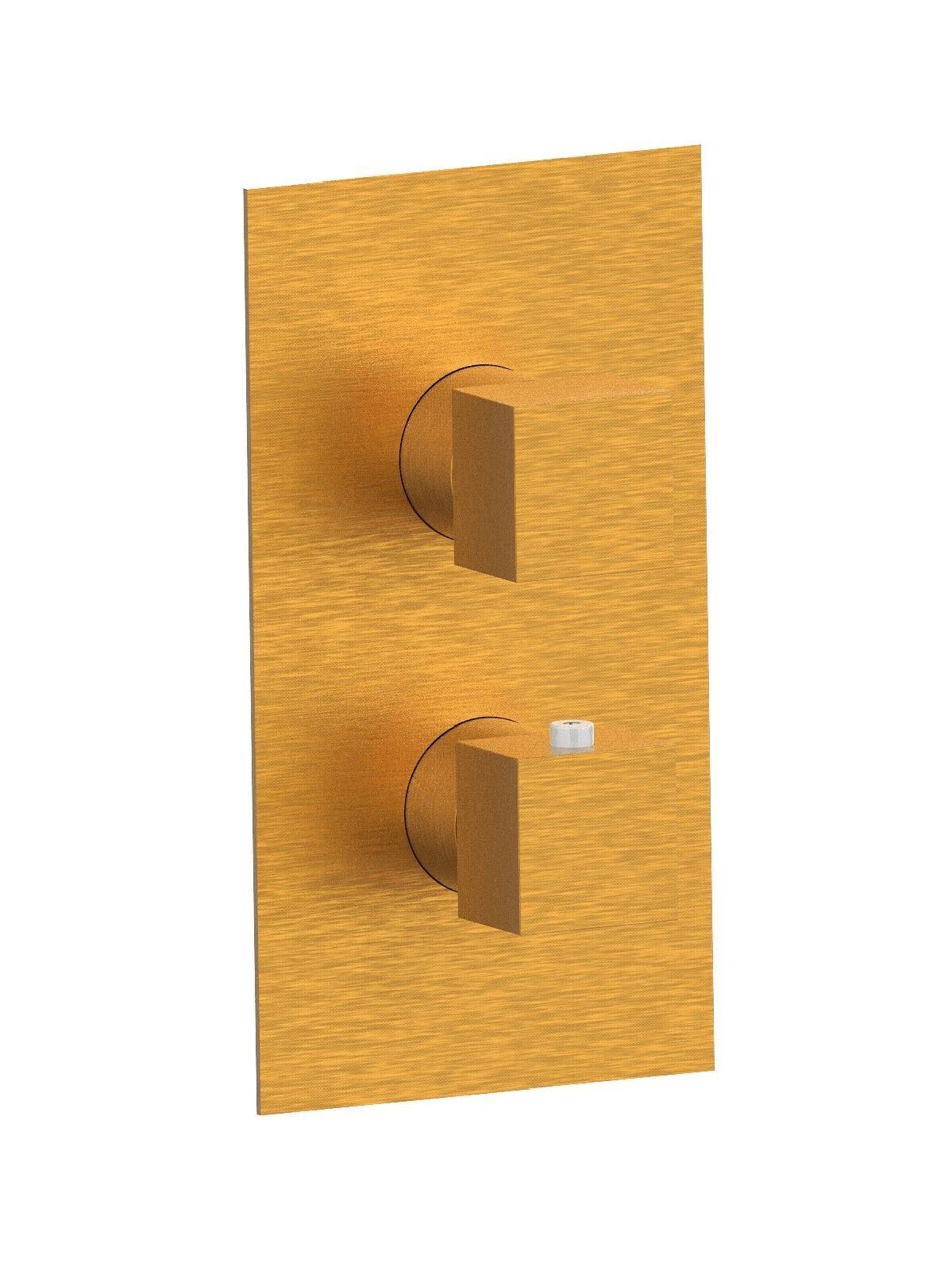 Термостатический встраиваемый смеситель для душа Rubinetterie Frattini душевые ARCH-00001986 - Вид №4