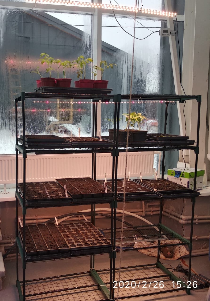 1911 Стеллаж для рассады 141*60*30 LAB.Space  - Вид №9