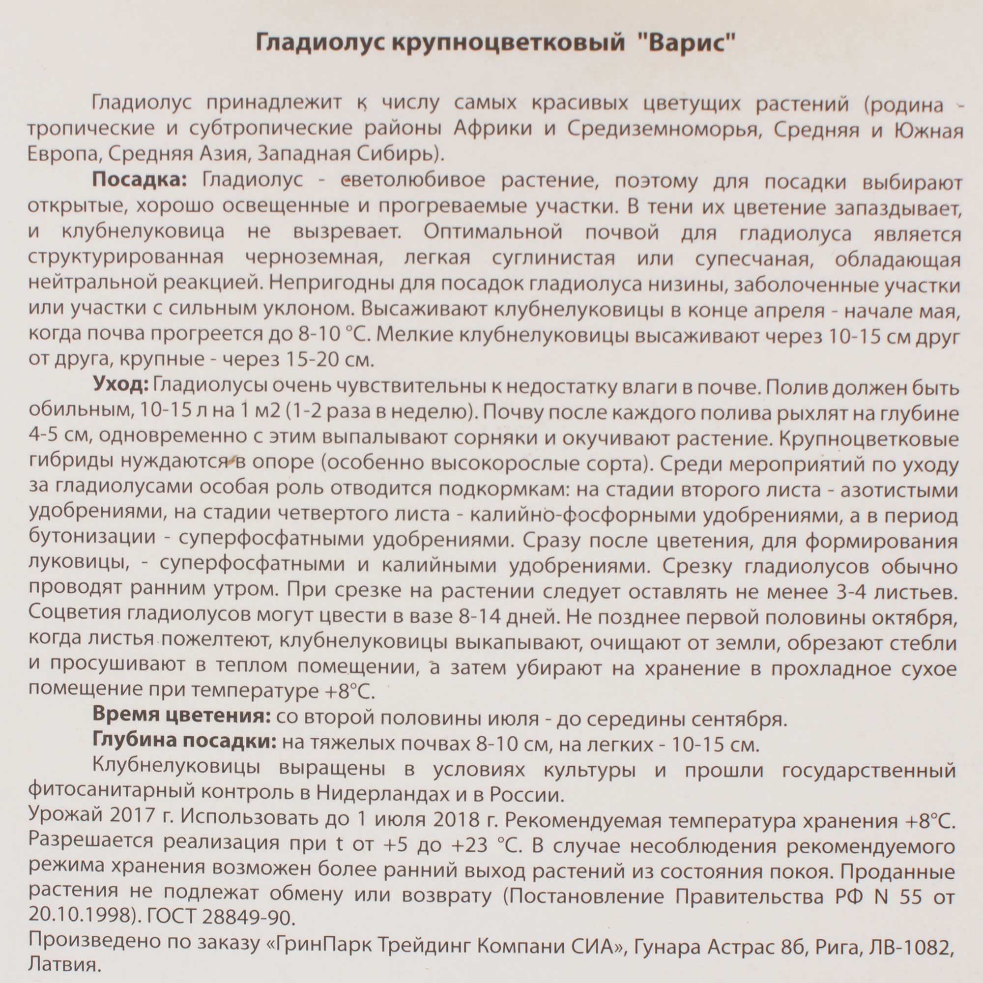 14374863 Гладиолус Крупноцветковый Варис (12/14) Santreyd  - Вид №2