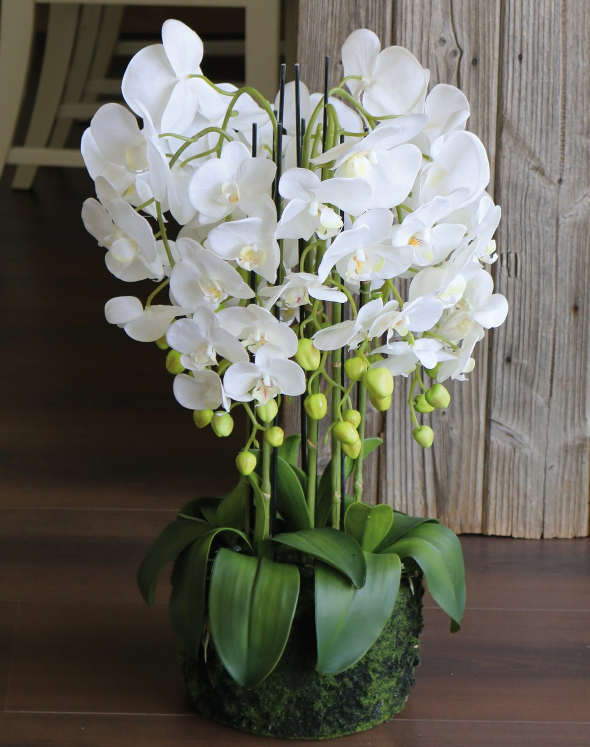 2861 777 a3 Пластиковая орхидея Phalaenopsis с 'почвой', 9-кратная, 70 см, real touch, белая H-andreas  - Вид №1