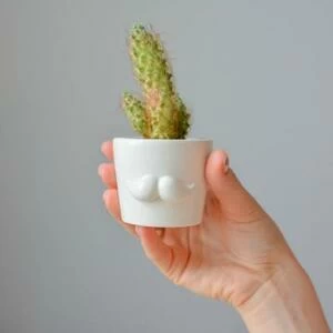 Набор для выращивания Eco мини-кашпо «Усы»