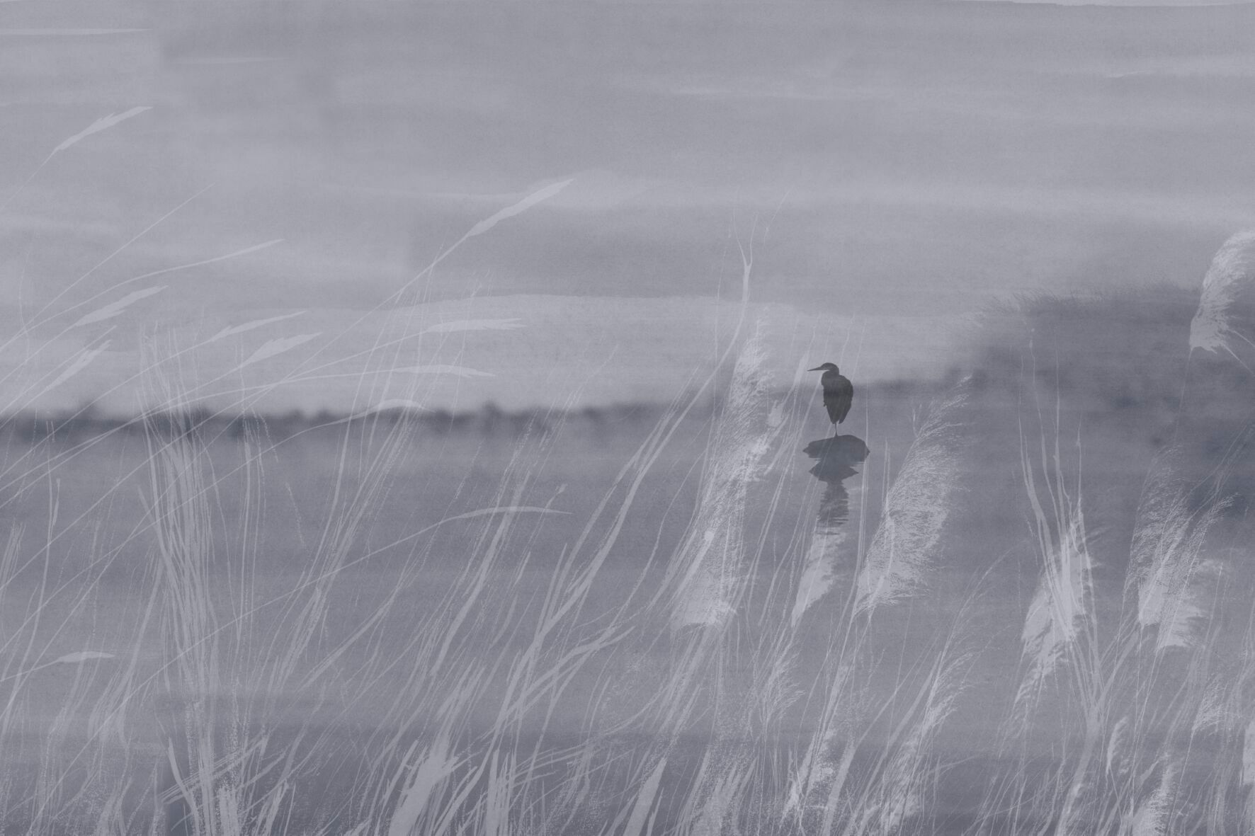 Обои с пейзажами GLAMORA Creative Collection Chapter XIV ARCH-00078907 - Вид №4