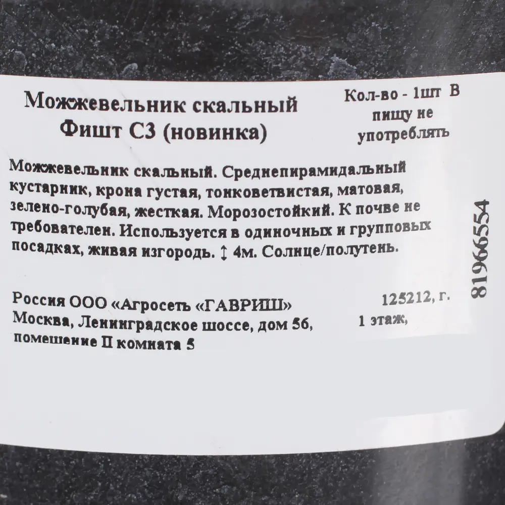 Можжевельник скальный фишт С3 81966554 STLM-2026117 Santreyd  - Вид №1