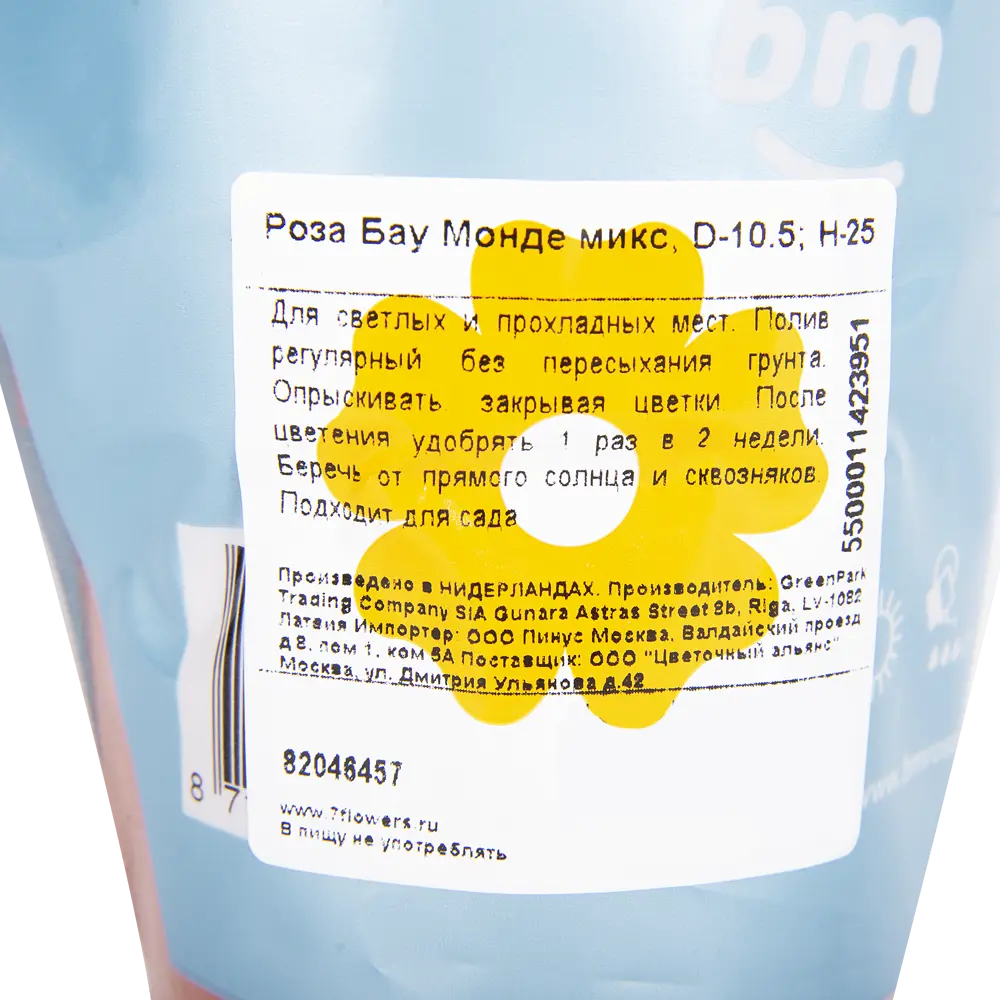 Роза «Бау Монде» микс 82046457 STLM-2084488 Santreyd  - Вид №4