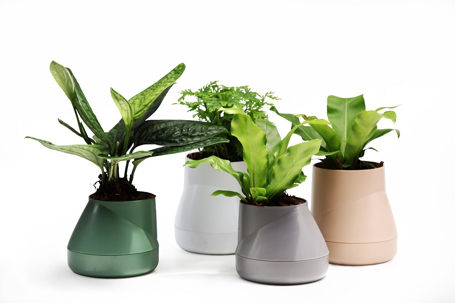 QLX20001-GN Горшок цветочный hill pot, маленький, зеленый Qualy  - Вид №4