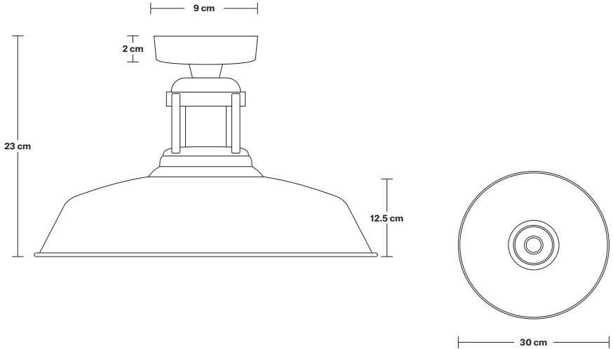 Industville Железный потолочный светильник  Bn-slfm12-p  - Вид №4