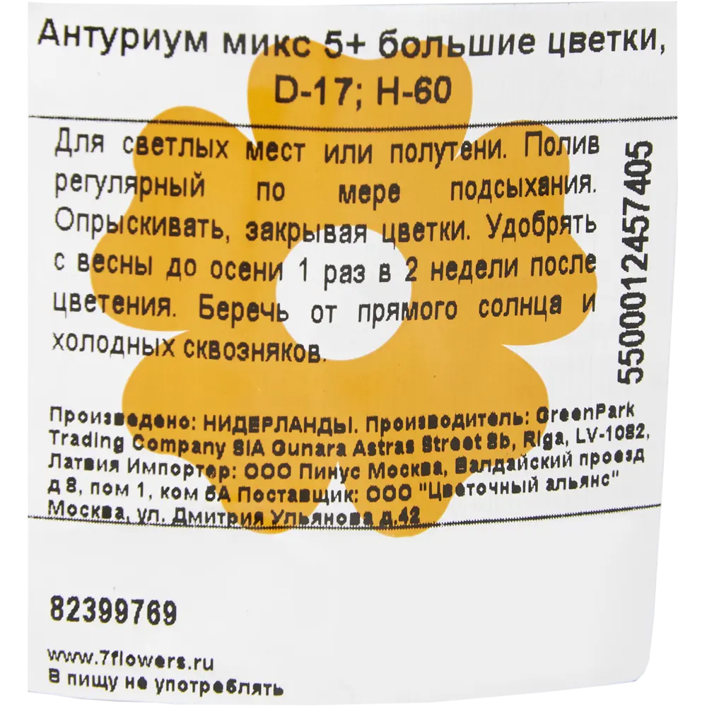 Антуриум микс с большими цветками 17x60 см 82399769 STLM-2201600 Santreyd  - Вид №2
