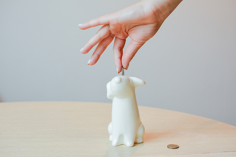 ECS-3-06 Собачка "бобик" Экочеловеки  - Вид №1